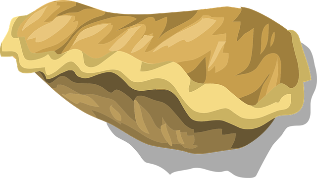 Free fungus fungal nature vector