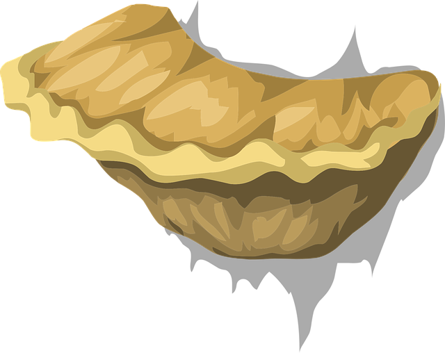 Free fungus nature fungal vector