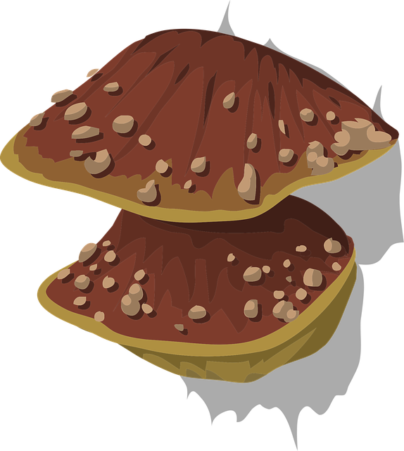 Free fungus fungal mushroom vector