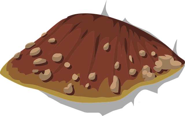 Free fungus fungal mushroom vector