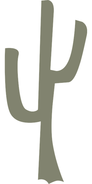 Free Cactus Plant vector and picture