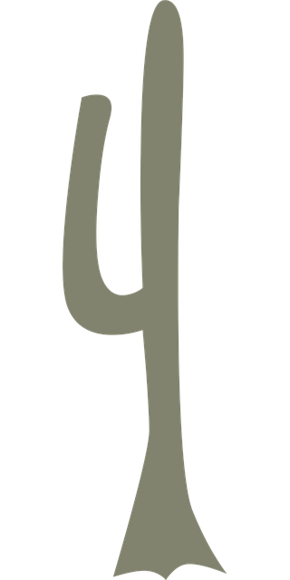 Free cactus plant desert vector
