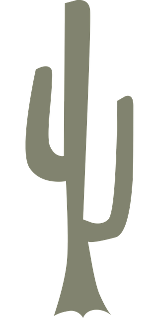 Free cactus plant nature illustration