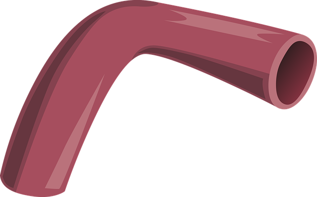 Free artery flow flowing vector