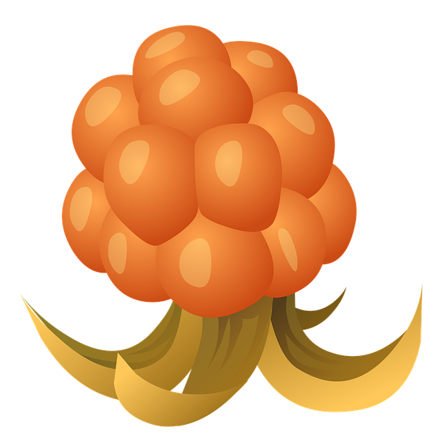 Free orange berry fruits vector