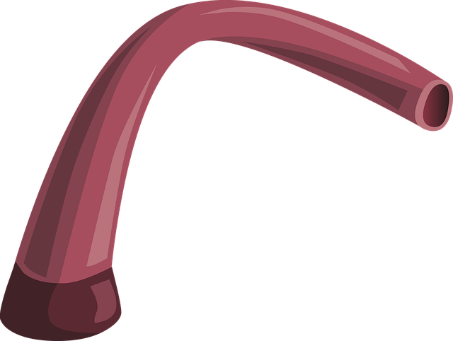 Download free HD stock image of Pipe Artery Free pipe artery flow vector