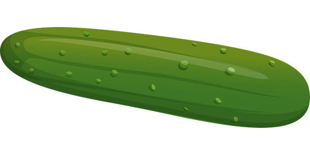Free cucumber vegetable green vector
