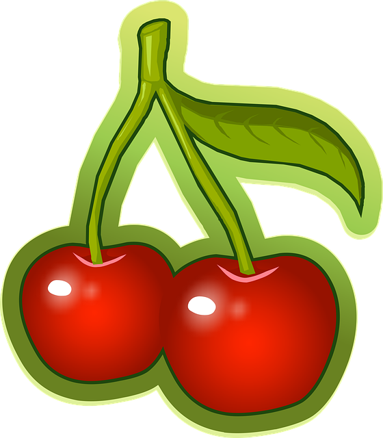 Free cherries stem fruit vector