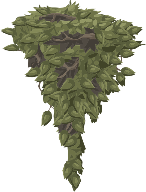 Free leaves green foliage illustration