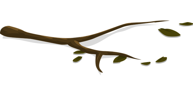 Free branch tree leaves vector