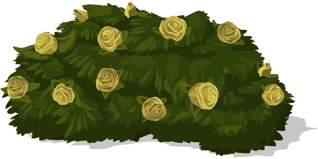Free Bush Vector Art - Download 140+ Bush Icons & Graphics - Pixabay