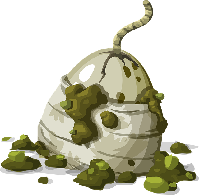 Free egg hatch hatching illustration