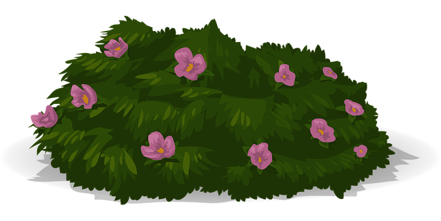 Free flowers beautiful flowers purple vector