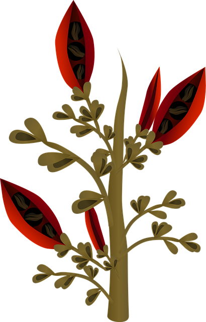 Free plants trees flora vector
