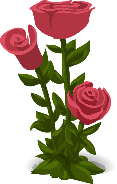 Free roses pink flowers vector