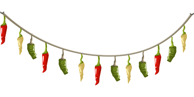 Free peppers spices chili vector