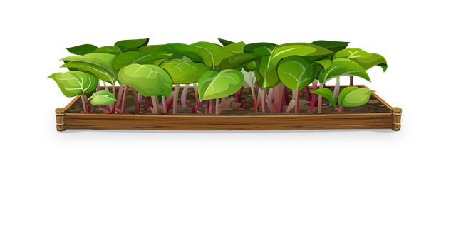 Free plants greenery tiny vector