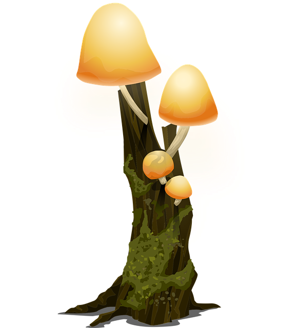 Bäume, Wald, Pilze, Gelb, Pilz, Wachstum