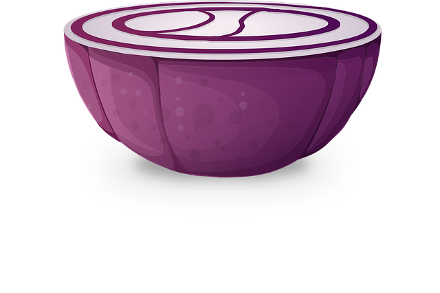 Download free HD stock image of Onion Red Free onion red vegetable illustration