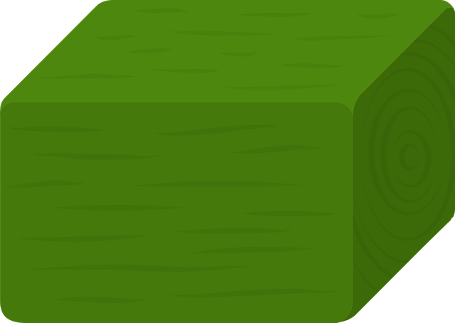 Free wood square green vector