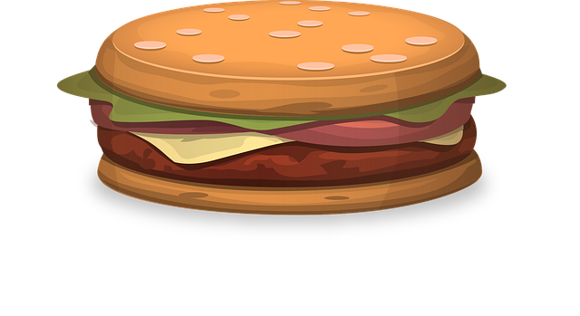 Free hamburger burger sandwich illustration