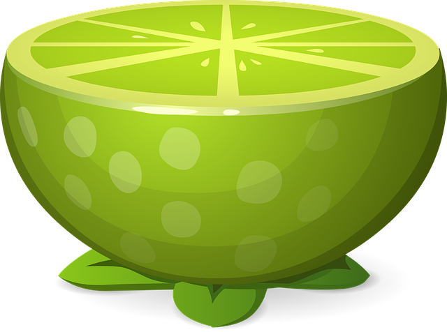 Free lime fruit citrus vector