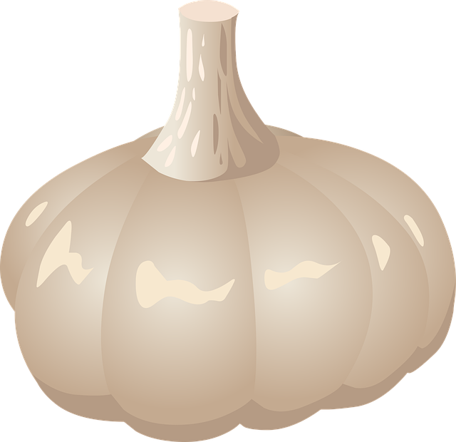 Free garlic vegetable organic vector