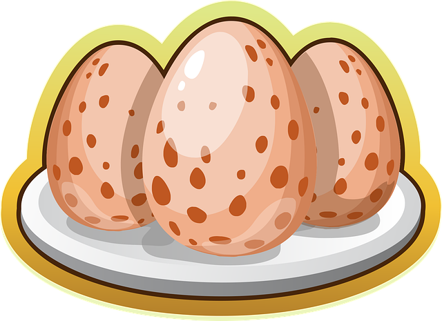 Free eggs foods edible vector