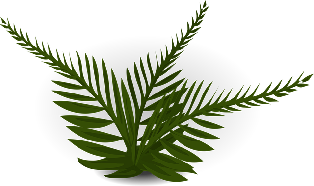 Free fern green plant vector