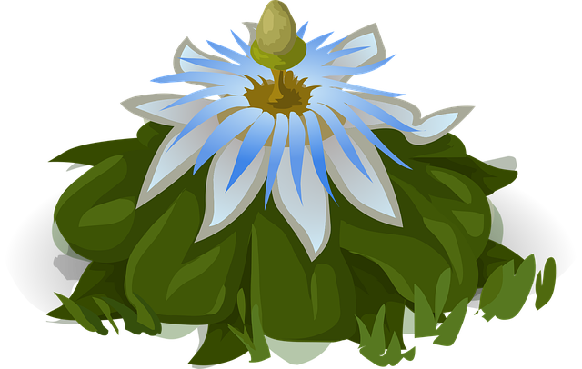Free Flower Vector Art - Download 6,501+ Flower Icons & Graphics - Pixabay