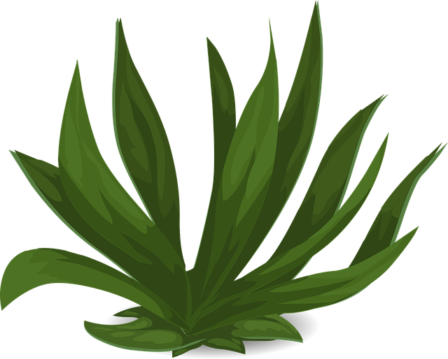 Free grasses green plants vector