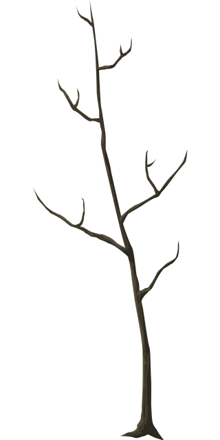 Free tree dead autumn illustration