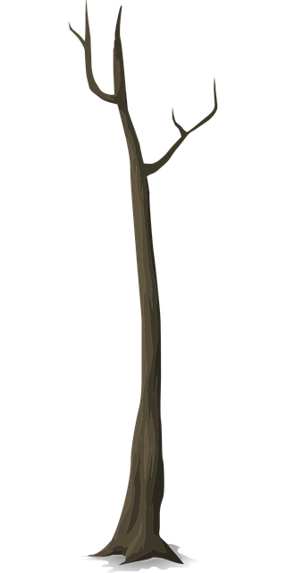 Free tree dead autumn vector