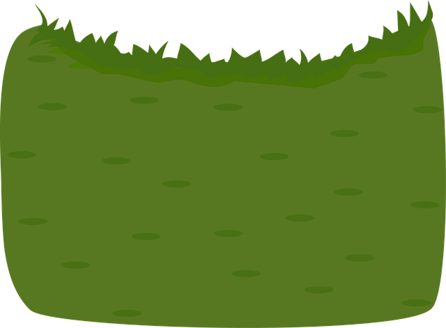 Download free HD stock image of Grass Environment Free grass environment nature vector