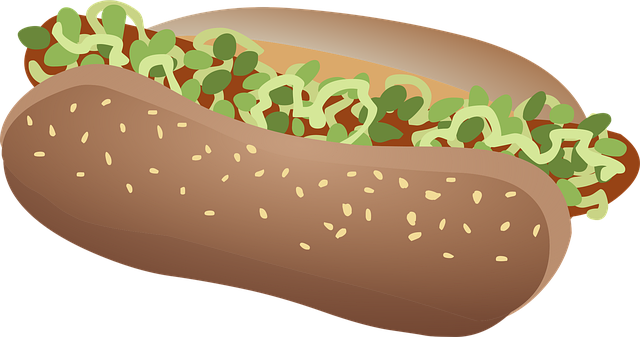 Free hot dog wiener lunch illustration