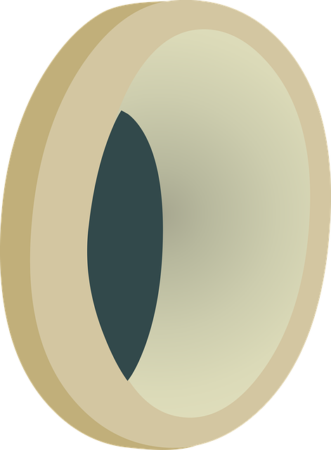 Free porthole window round vector