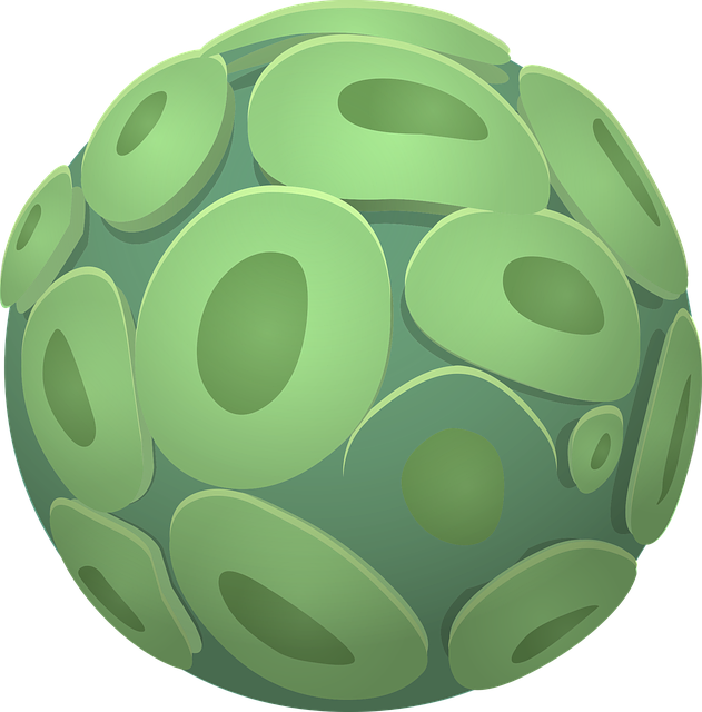 Free ball green organic vector