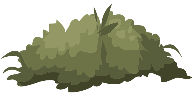 Free bush nature green vector