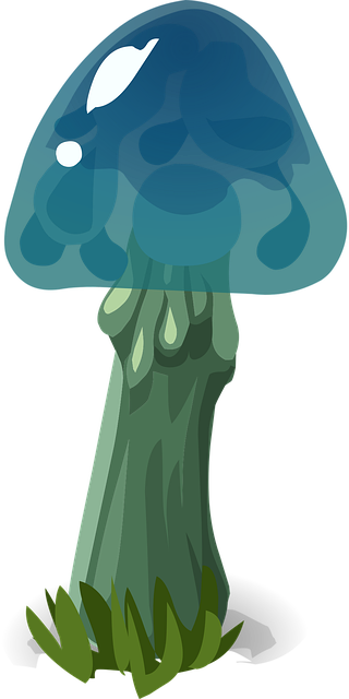 Pilz, Blauer Hut, Natur, Draussen, Grau