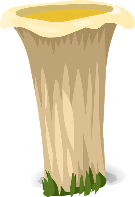 Free mushroom white yellow hat vector