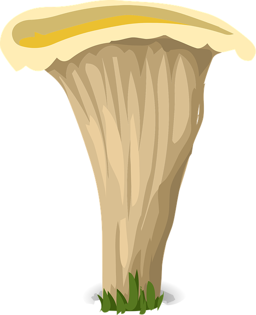 Free mushroom fungus white vector