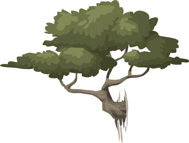 Árvore, Natureza, Verde, Folhas