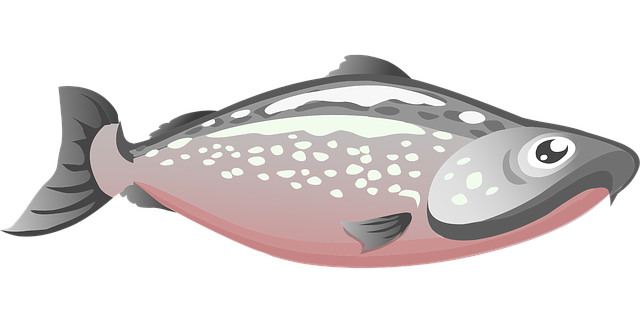 Free fish gray grey illustration