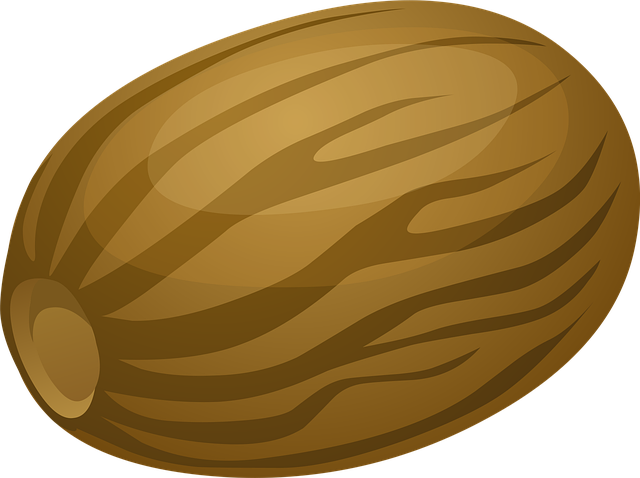 Free nutmeg nut shell vector
