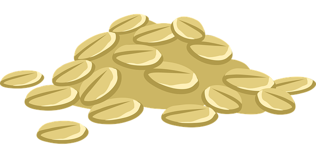 Free oats grains foods vector