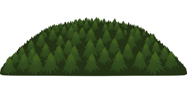 Free pines trees woods vector