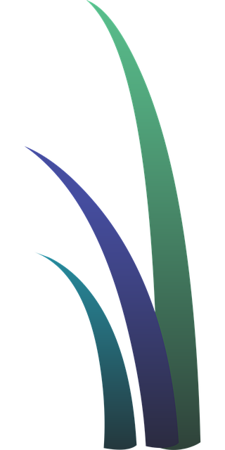 Free grasses plants leaves illustration