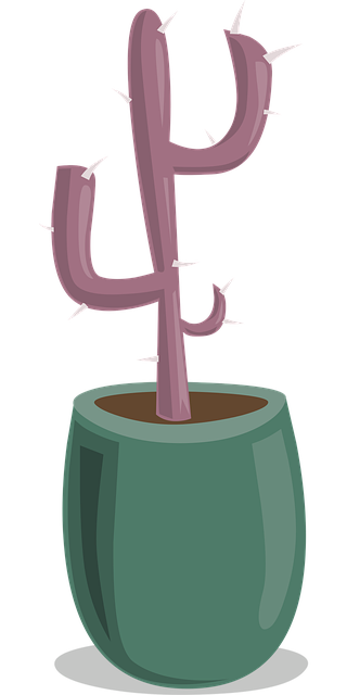 Free plant cactus succulent vector