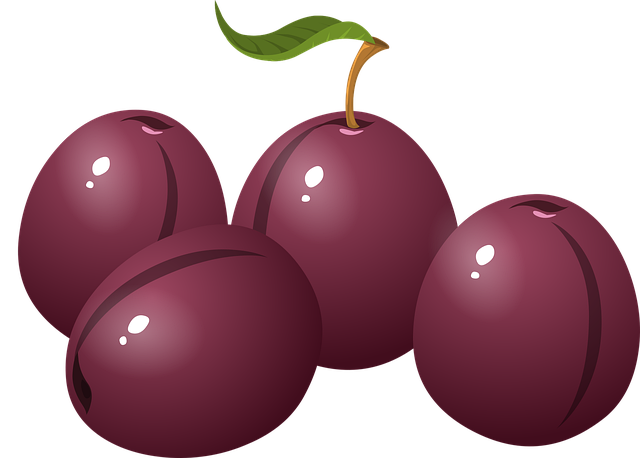 Free plum fruit snack vector