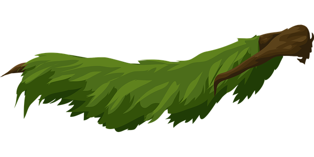 Free trees branches leaves vector